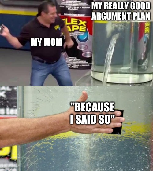 probably a repost | MY REALLY GOOD ARGUMENT PLAN; MY MOM; "BECAUSE I SAID SO" | image tagged in flex tape | made w/ Imgflip meme maker