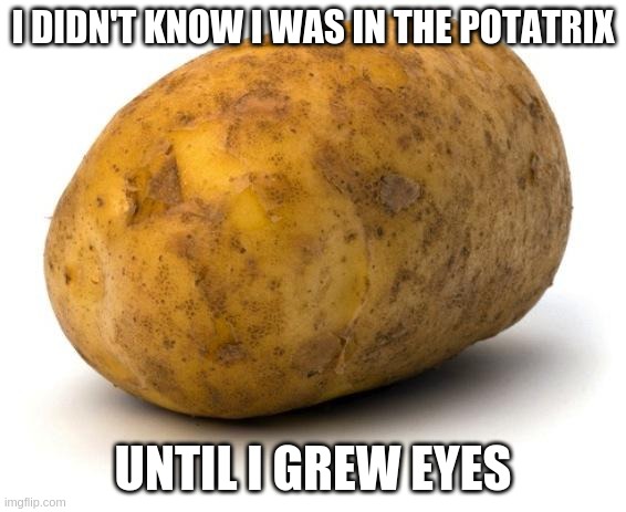 Matrix potato | I DIDN'T KNOW I WAS IN THE POTATRIX; UNTIL I GREW EYES | image tagged in i am a potato | made w/ Imgflip meme maker