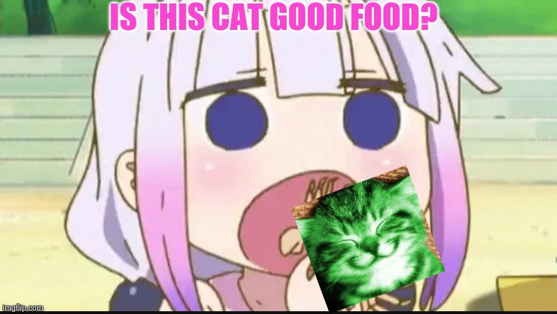 Kanna eating a crab | IS THIS CAT GOOD FOOD? | image tagged in kanna eating a crab | made w/ Imgflip meme maker