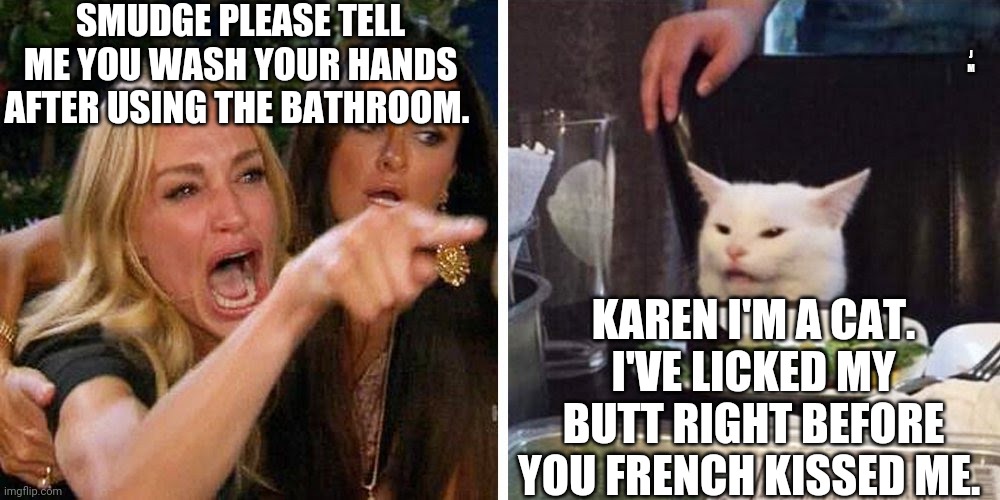 Smudge the cat | SMUDGE PLEASE TELL ME YOU WASH YOUR HANDS AFTER USING THE BATHROOM. J M; KAREN I'M A CAT. I'VE LICKED MY BUTT RIGHT BEFORE YOU FRENCH KISSED ME. | image tagged in smudge the cat | made w/ Imgflip meme maker