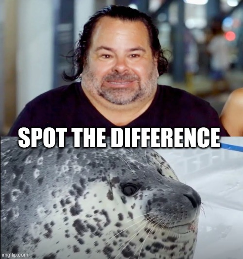 Big Ed Vs. Chonky seal | SPOT THE DIFFERENCE | image tagged in spot the difference,big ed | made w/ Imgflip meme maker