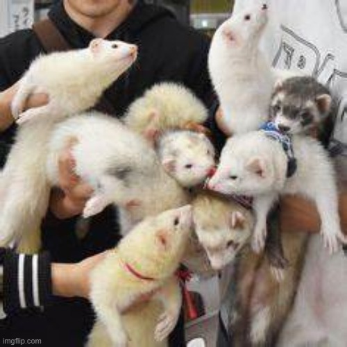 omfg so many smol baby's | made w/ Imgflip meme maker