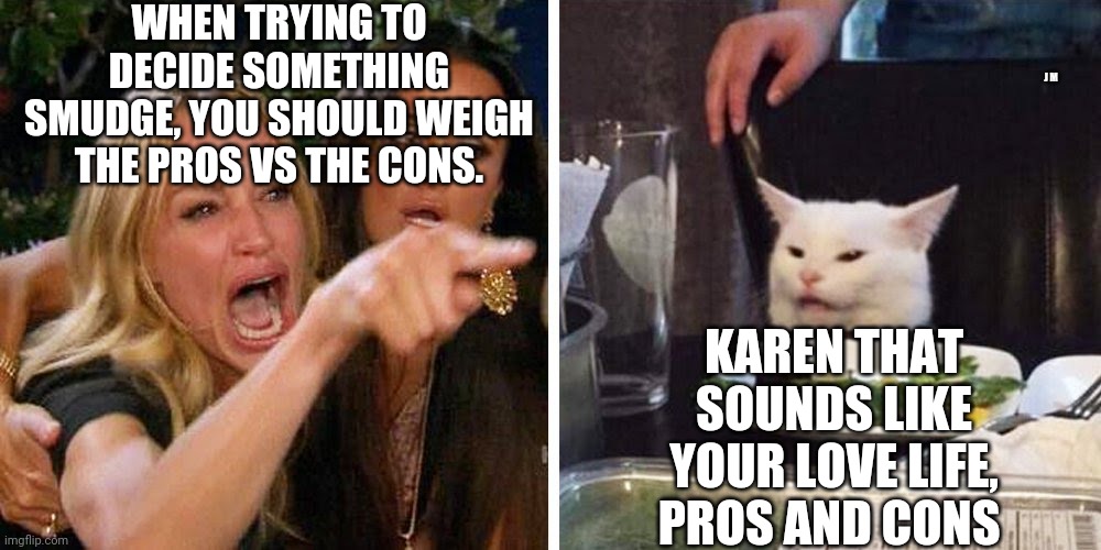 Smudge the cat | WHEN TRYING TO DECIDE SOMETHING SMUDGE, YOU SHOULD WEIGH THE PROS VS THE CONS. J M; KAREN THAT SOUNDS LIKE YOUR LOVE LIFE, PROS AND CONS | image tagged in smudge the cat | made w/ Imgflip meme maker