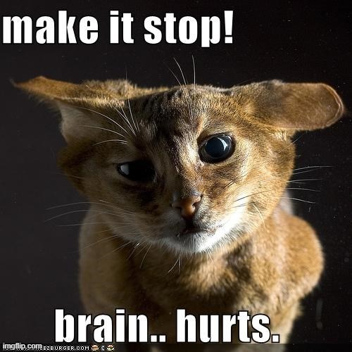 Make it stop! Brain...hurts. | image tagged in make it stop brain hurts | made w/ Imgflip meme maker