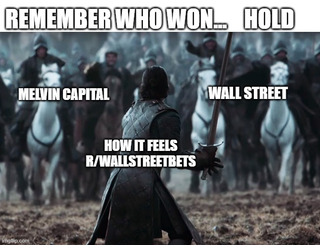 get em | REMEMBER WHO WON...    HOLD; WALL STREET; MELVIN CAPITAL; HOW IT FEELS

R/WALLSTREETBETS | image tagged in yolo | made w/ Imgflip meme maker