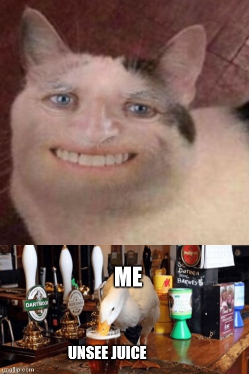 Boomer cat | ME; UNSEE JUICE | image tagged in duck,cats | made w/ Imgflip meme maker