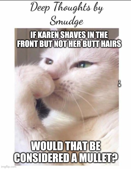 Smudge | IF KAREN SHAVES IN THE FRONT BUT NOT HER BUTT HAIRS; J M; WOULD THAT BE CONSIDERED A MULLET? | image tagged in smudge | made w/ Imgflip meme maker