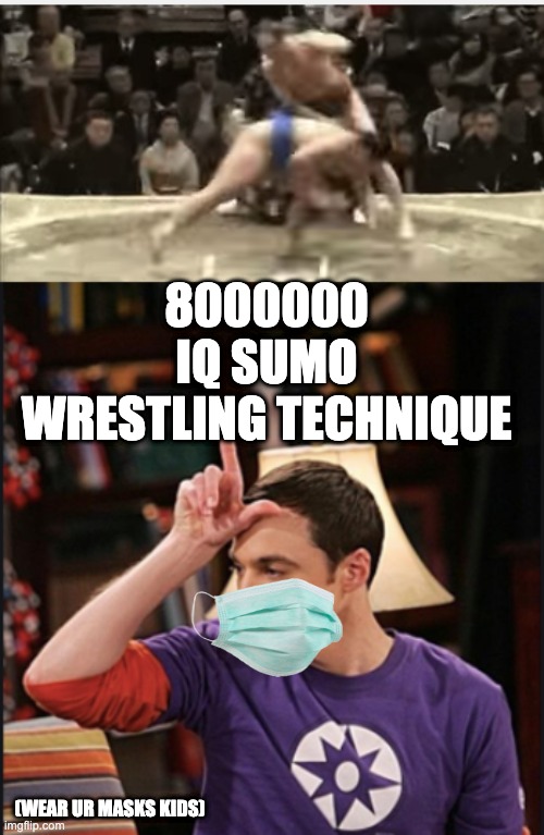 800000 IQ Sumo Wrestling Strategy | 8000000 IQ SUMO WRESTLING TECHNIQUE; (WEAR UR MASKS KIDS) | image tagged in sumo | made w/ Imgflip meme maker