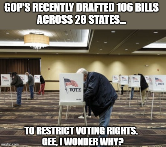 The GOP Senate & Reps all know Trump lost the election but are playing their supporters for fools | GOP'S RECENTLY DRAFTED 106 BILLS 
ACROSS 28 STATES... TO RESTRICT VOTING RIGHTS.  
GEE, I WONDER WHY? | image tagged in election 2020,voter suppression,gop scammers,trump | made w/ Imgflip meme maker