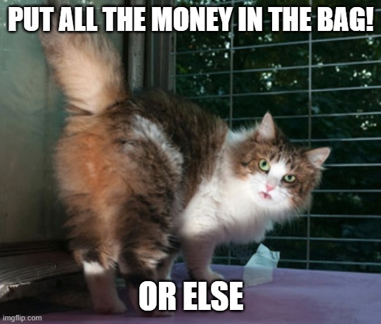 PUT ALL THE MONEY IN THE BAG! OR ELSE | made w/ Imgflip meme maker