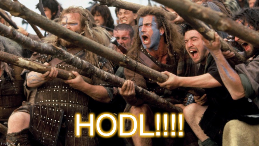 Hodl Braveheart | HODL!!!! | image tagged in cryptocurrency,hodl | made w/ Imgflip meme maker