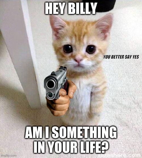 Cute Cat Meme | HEY BILLY; YOU BETTER SAY YES; AM I SOMETHING IN YOUR LIFE? | image tagged in memes,cute cat | made w/ Imgflip meme maker