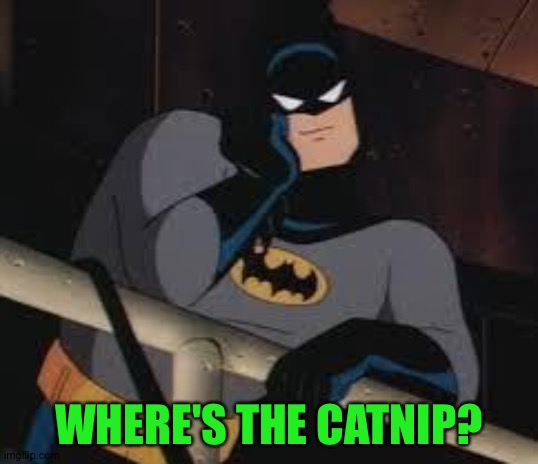 I'm Batman,deal with it | WHERE'S THE CATNIP? | image tagged in i'm batman deal with it | made w/ Imgflip meme maker