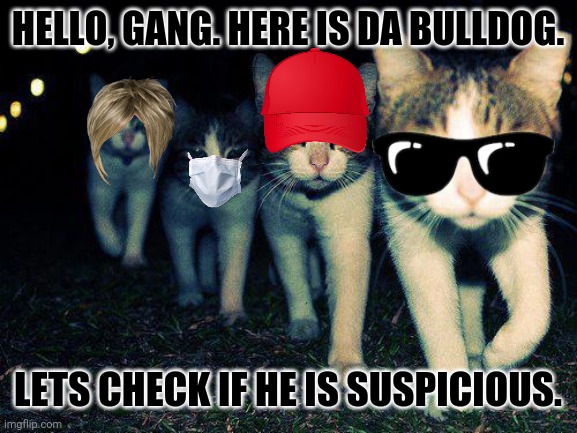 Wrong Neighboorhood Cats | HELLO, GANG. HERE IS DA BULLDOG. LETS CHECK IF HE IS SUSPICIOUS. | image tagged in memes,wrong neighborhood,bulldog | made w/ Imgflip meme maker