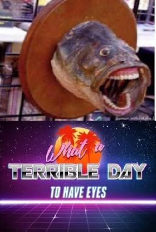 Wtf?! | image tagged in what a terrible day to have eyes,memes,funny,fish | made w/ Imgflip meme maker