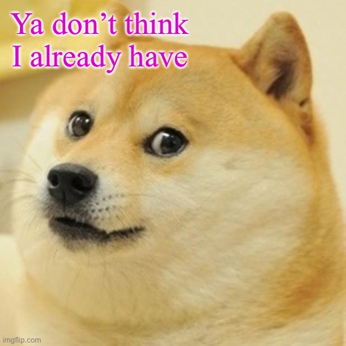 Doge Meme | Ya don’t think I already have | image tagged in memes,doge | made w/ Imgflip meme maker