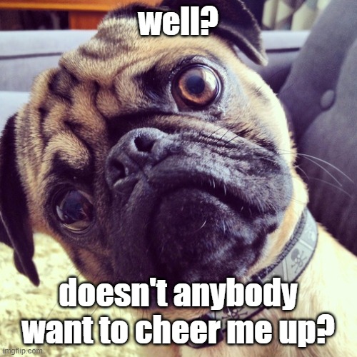 well? doesn't anybody want to cheer me up? | made w/ Imgflip meme maker