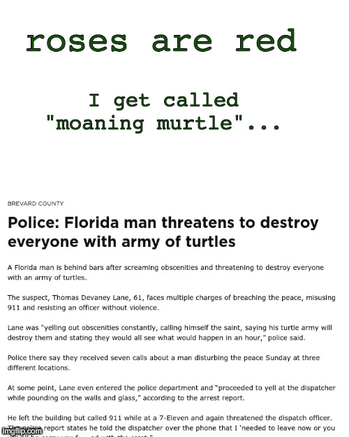 aaah, poetry | roses are red; I get called "moaning murtle"... | image tagged in starter pack | made w/ Imgflip meme maker