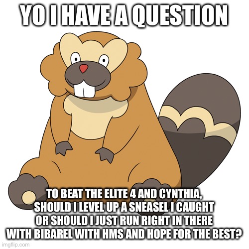 Beaver Pokémon lmao | YO I HAVE A QUESTION; TO BEAT THE ELITE 4 AND CYNTHIA, SHOULD I LEVEL UP A SNEASEL I CAUGHT OR SHOULD I JUST RUN RIGHT IN THERE WITH BIBAREL WITH HMS AND HOPE FOR THE BEST? | made w/ Imgflip meme maker