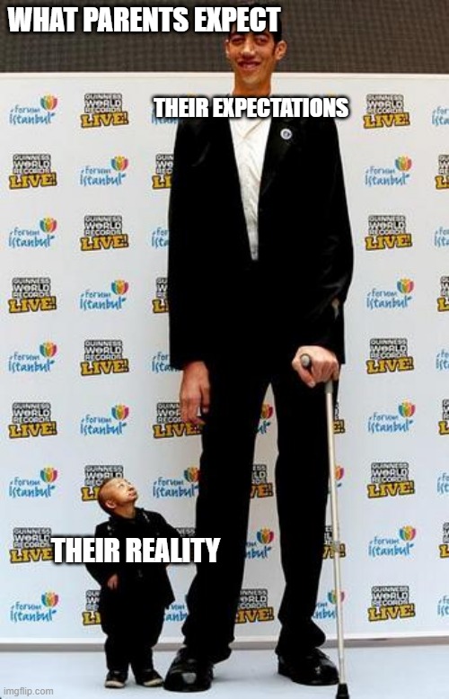 oh sorry u did'nt see you there | WHAT PARENTS EXPECT; THEIR EXPECTATIONS; THEIR REALITY | image tagged in the tallest and shortest man in the world | made w/ Imgflip meme maker