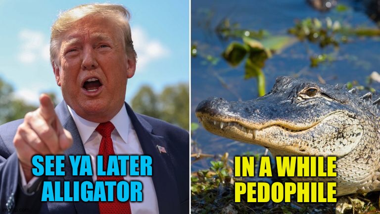 Later Gator | IN A WHILE
PEDOPHILE; SEE YA LATER
ALLIGATOR | image tagged in trump and alligator | made w/ Imgflip meme maker