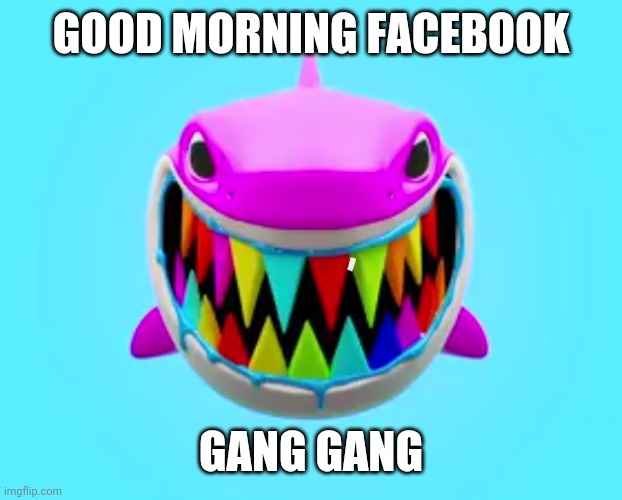 GOOD MORNING FACEBOOK; GANG GANG | made w/ Imgflip meme maker