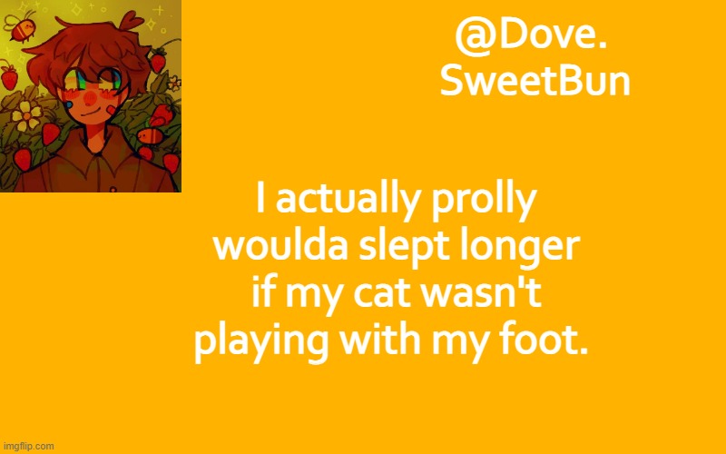 Another template | I actually prolly woulda slept longer if my cat wasn't playing with my foot. | image tagged in another template | made w/ Imgflip meme maker