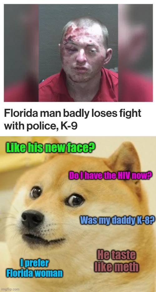 Like his new face? Do I have the HIV now? Was my daddy K-8? He taste like meth; I prefer Florida woman | image tagged in memes,doge,florida man,k-9,police | made w/ Imgflip meme maker