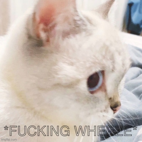 *FUCKING WHEEZE* | made w/ Imgflip meme maker
