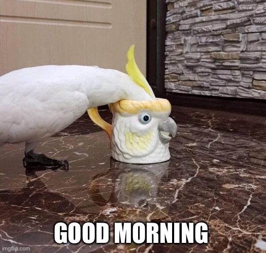 GOOD MORNING | made w/ Imgflip meme maker