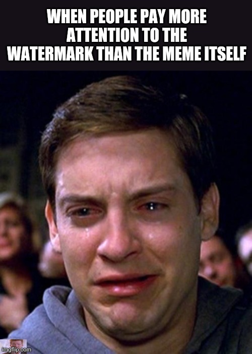 crying peter parker | WHEN PEOPLE PAY MORE ATTENTION TO THE WATERMARK THAN THE MEME ITSELF | image tagged in crying peter parker | made w/ Imgflip meme maker