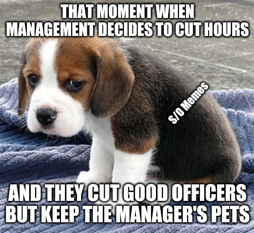 Real | THAT MOMENT WHEN MANAGEMENT DECIDES TO CUT HOURS; S/O Memes; AND THEY CUT GOOD OFFICERS BUT KEEP THE MANAGER'S PETS | image tagged in sad dog | made w/ Imgflip meme maker
