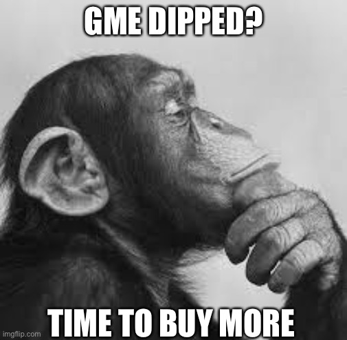 GME | GME DIPPED? TIME TO BUY MORE | image tagged in politics,news,finance,funny memes | made w/ Imgflip meme maker