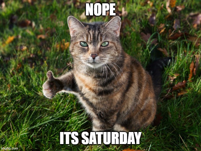 THUMBS UP CAT | NOPE ITS SATURDAY | image tagged in thumbs up cat | made w/ Imgflip meme maker