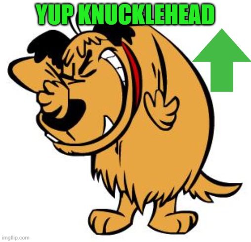 laughing | YUP KNUCKLEHEAD | image tagged in laughing | made w/ Imgflip meme maker