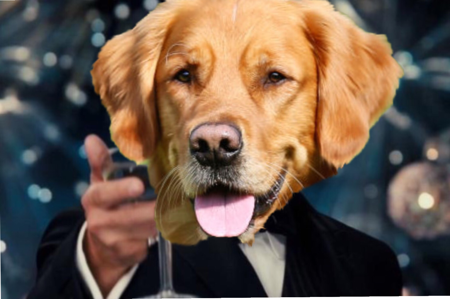 High Quality Dog Cheers Blank Meme Template