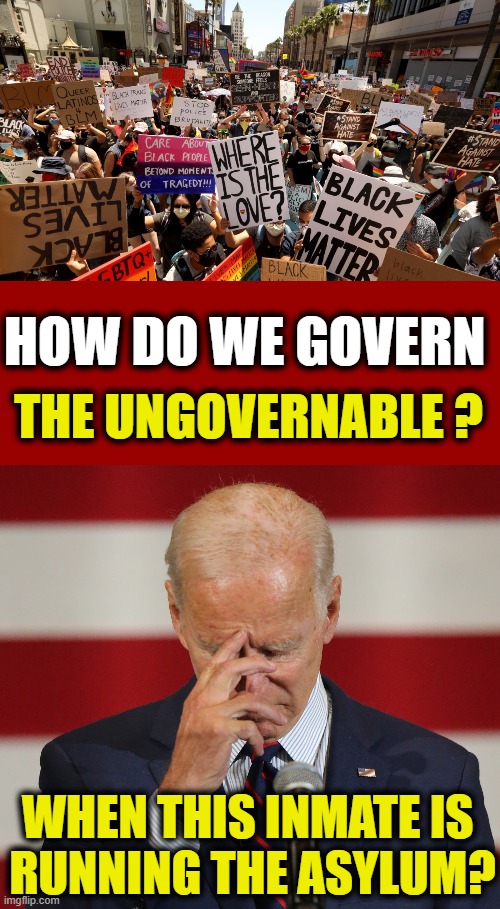 Question for Liberals & Conservatives: What Are We Do? | image tagged in political meme,liberal vs conservative,democrat,republican,blm,antifa | made w/ Imgflip meme maker