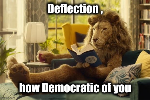 Lion relaxing | Deflection , how Democratic of you | image tagged in lion relaxing | made w/ Imgflip meme maker