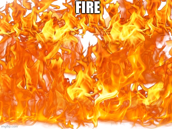 I just felt like making this | FIRE | image tagged in funny,memes,dogs,gifs,charts,upvotes plz | made w/ Imgflip meme maker