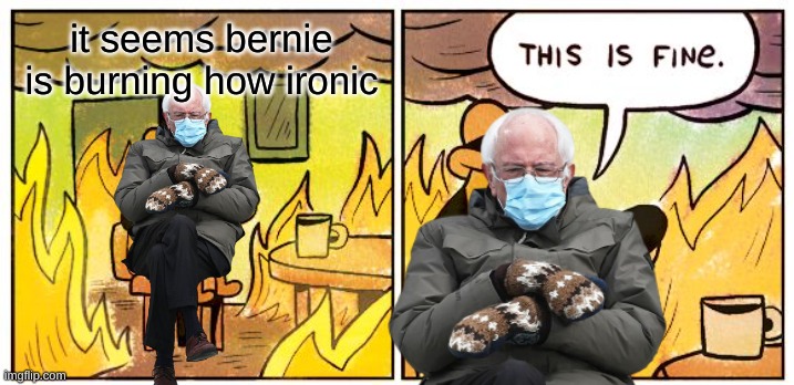 it seems bernie is burning how ironic | made w/ Imgflip meme maker