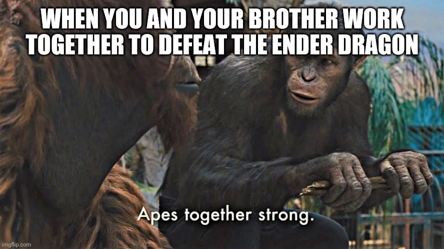 Ape together strong | WHEN YOU AND YOUR BROTHER WORK TOGETHER TO DEFEAT THE ENDER DRAGON | image tagged in ape together strong | made w/ Imgflip meme maker