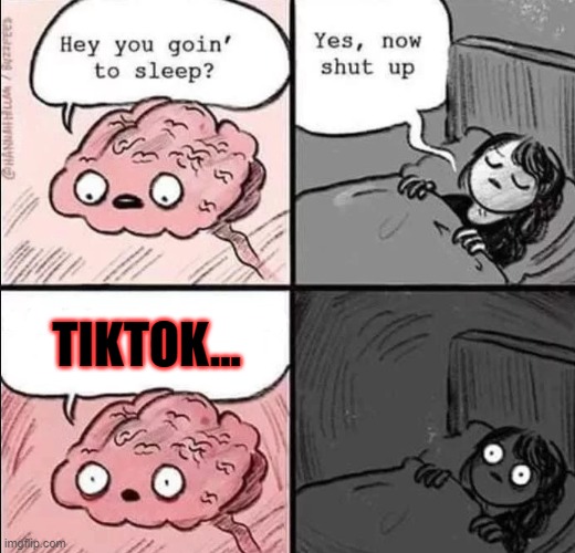 we all hate tiktok and thats a fact | TIKTOK... | image tagged in waking up brain,memes,hate tiktok,bad tag,good tag,sus tag | made w/ Imgflip meme maker