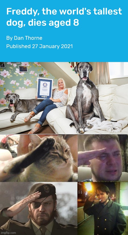 The tallest dog was gone. | image tagged in ozon's salute,press f to pay respects,memes,sadness | made w/ Imgflip meme maker