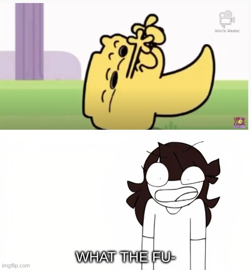 3 faces in an animation goof, why | image tagged in jaiden animations what the fu-,wubbzy | made w/ Imgflip meme maker