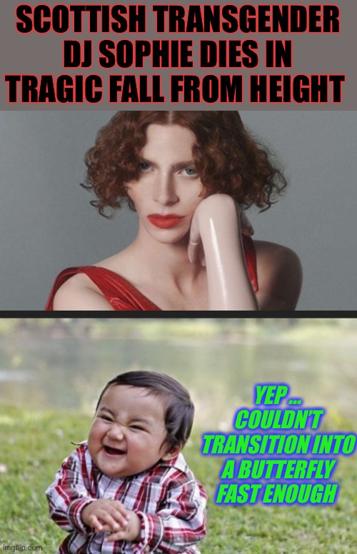 Necrometamorphisis ?? | SCOTTISH TRANSGENDER DJ SOPHIE DIES IN TRAGIC FALL FROM HEIGHT; YEP ... COULDN’T TRANSITION INTO A BUTTERFLY FAST ENOUGH | image tagged in memes,evil toddler,dj sophie,scottish,news,dark humour | made w/ Imgflip meme maker