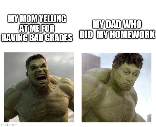 Hulk angry then realizes he's wrong | MY DAD WHO DID  MY HOMEWORK; MY MOM YELLING AT ME FOR HAVING BAD GRADES | image tagged in hulk angry then realizes he's wrong | made w/ Imgflip meme maker