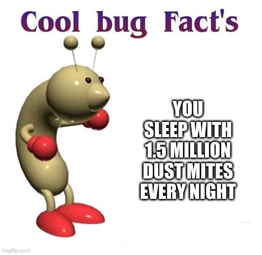 Cool Bug Facts | YOU SLEEP WITH 1.5 MILLION DUST MITES EVERY NIGHT | image tagged in cool bug facts | made w/ Imgflip meme maker