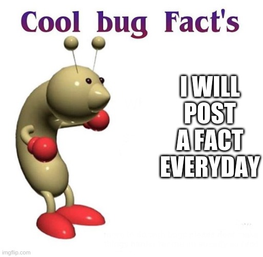Cool Bug Facts | I WILL POST A FACT EVERYDAY | image tagged in cool bug facts | made w/ Imgflip meme maker