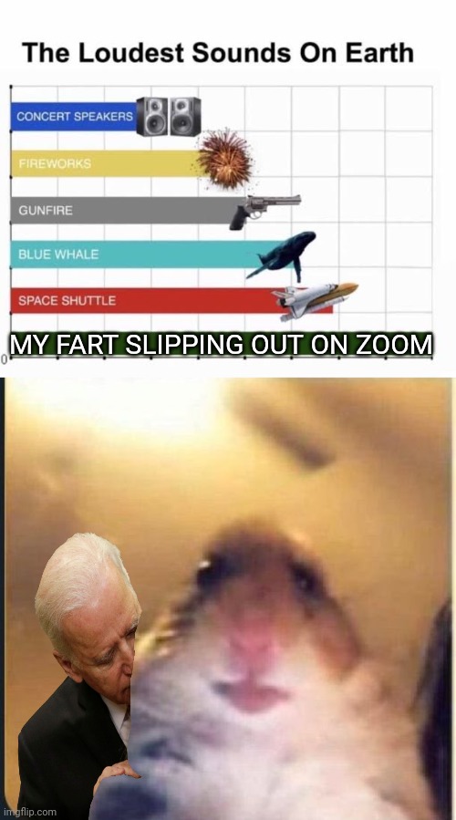 MY FART SLIPPING OUT ON ZOOM | image tagged in the loudest sounds on earth,online classes | made w/ Imgflip meme maker