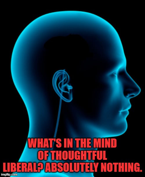 No brain | WHAT'S IN THE MIND OF THOUGHTFUL LIBERAL? ABSOLUTELY NOTHING. | image tagged in no brain | made w/ Imgflip meme maker